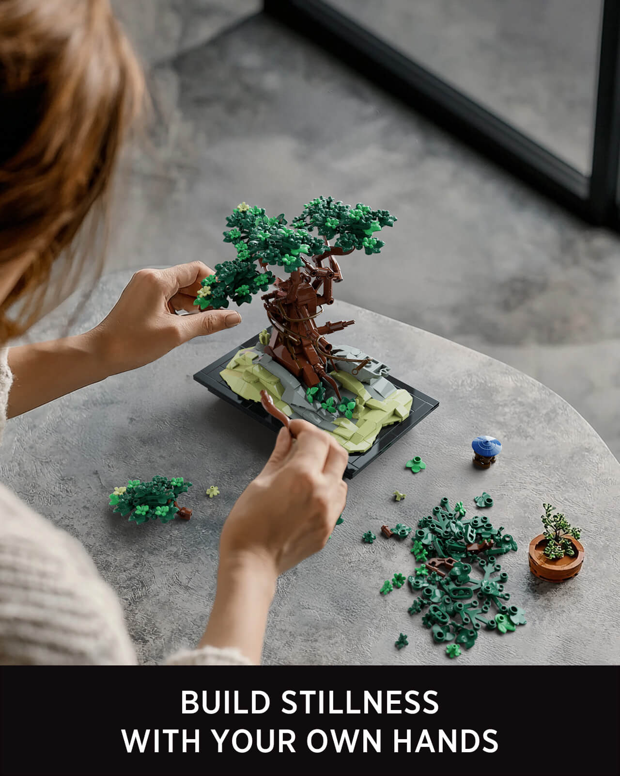 CHAN BONSAI TREE product 04